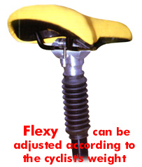 Particolare di Flexy